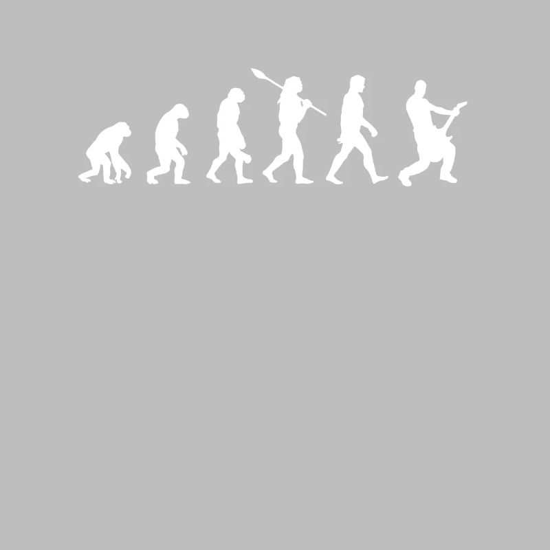 Évolution de la guitare