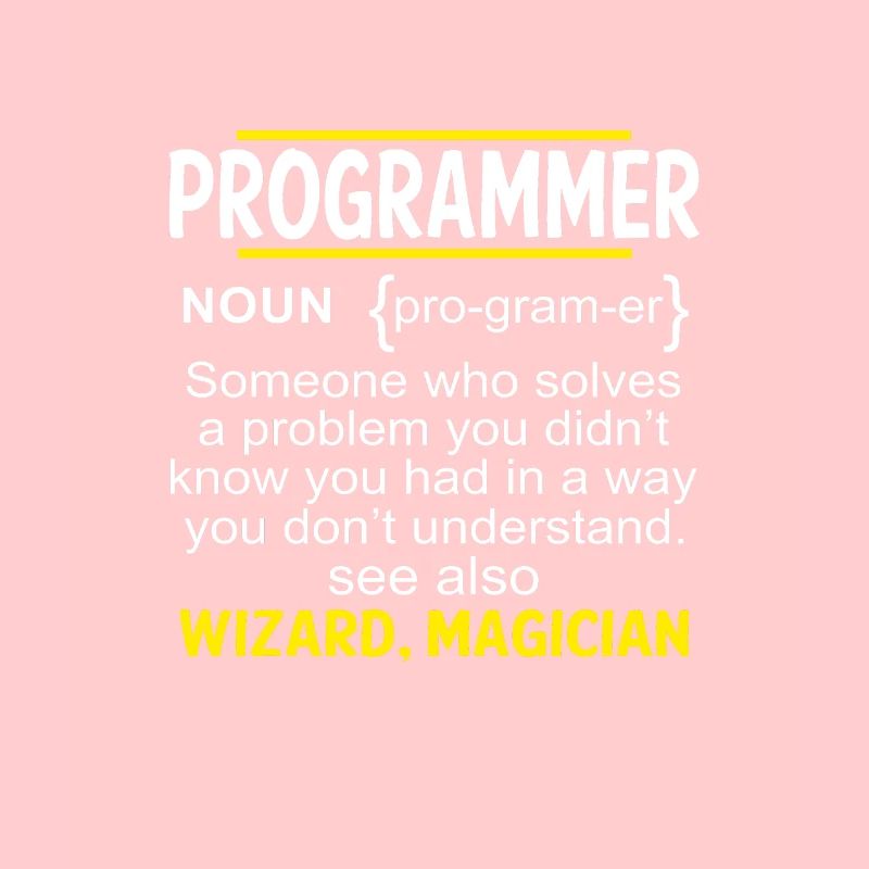 Funny Developer Coder IT Programmer Gift