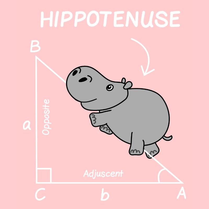 Math Teacher Student Engineer School