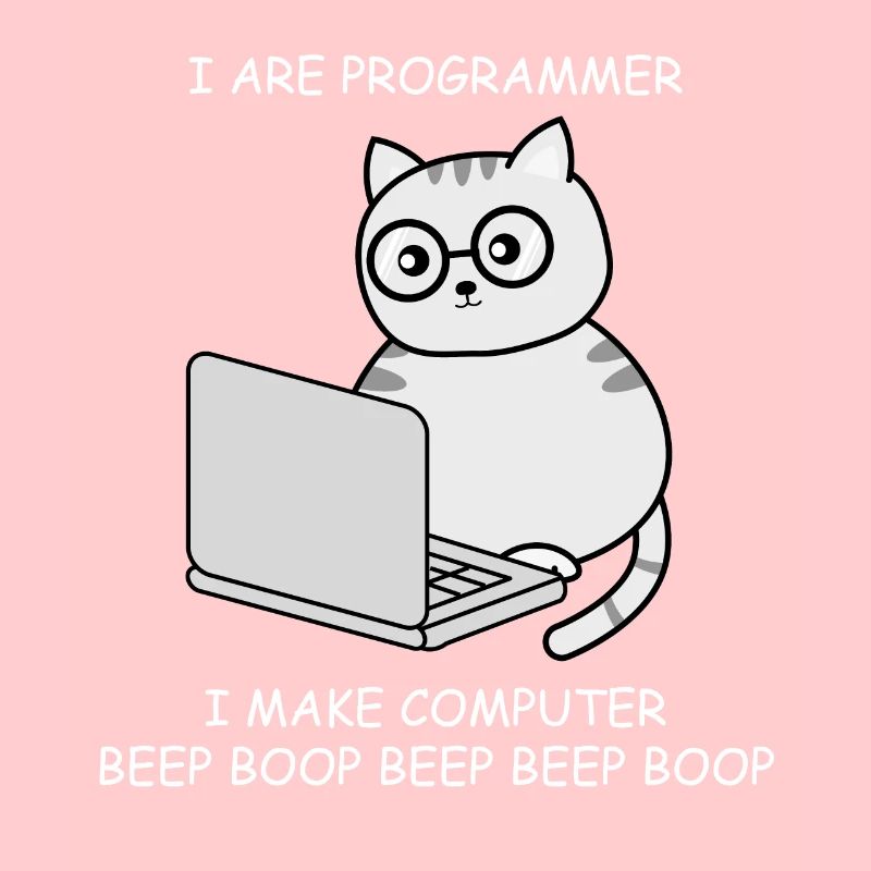 Informatiker Informatik Programmieren Ingenieur