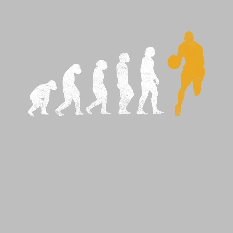 Evolution du basket