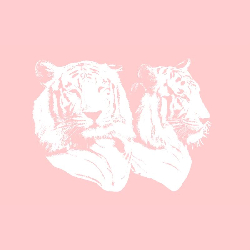 Tiger head structure, front, side, white