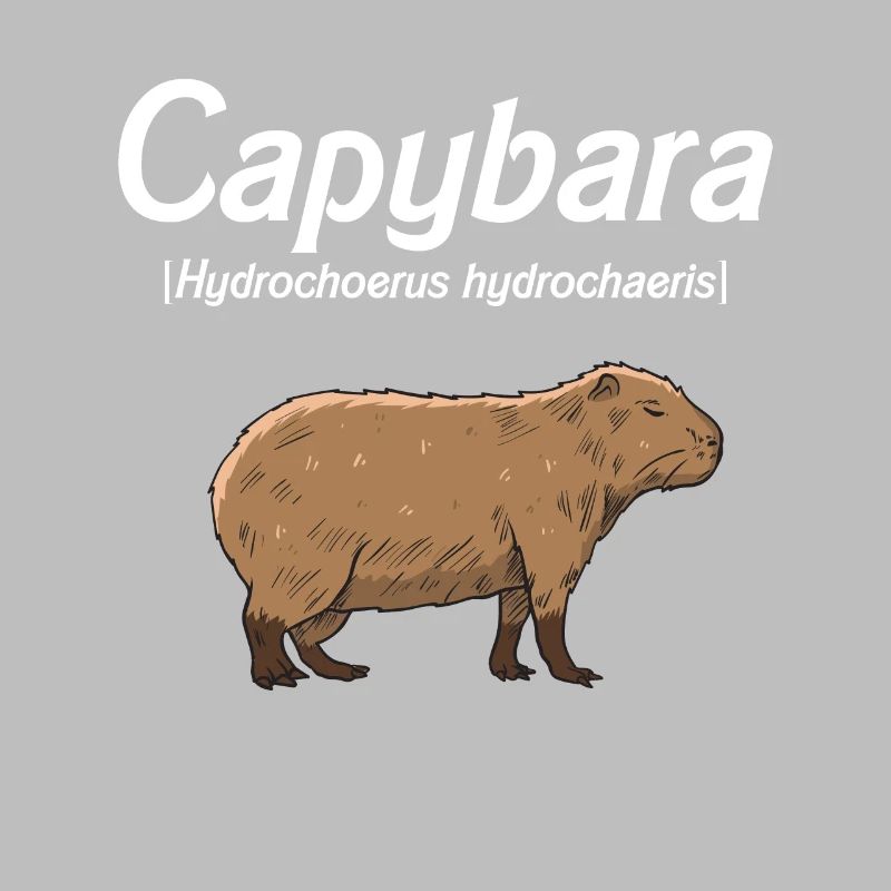 Capybara Idée cadeau Mignon Capybara Capybara