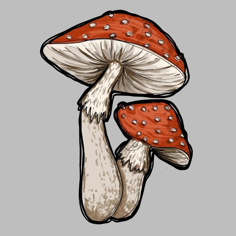 Toadstools Illustration