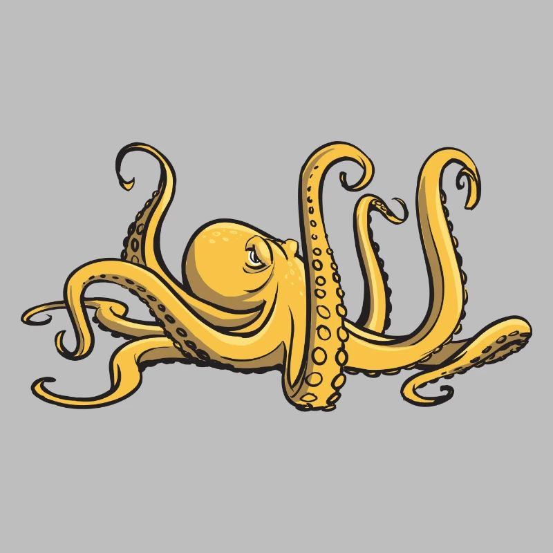 I like octopus - eight tentacles - squid