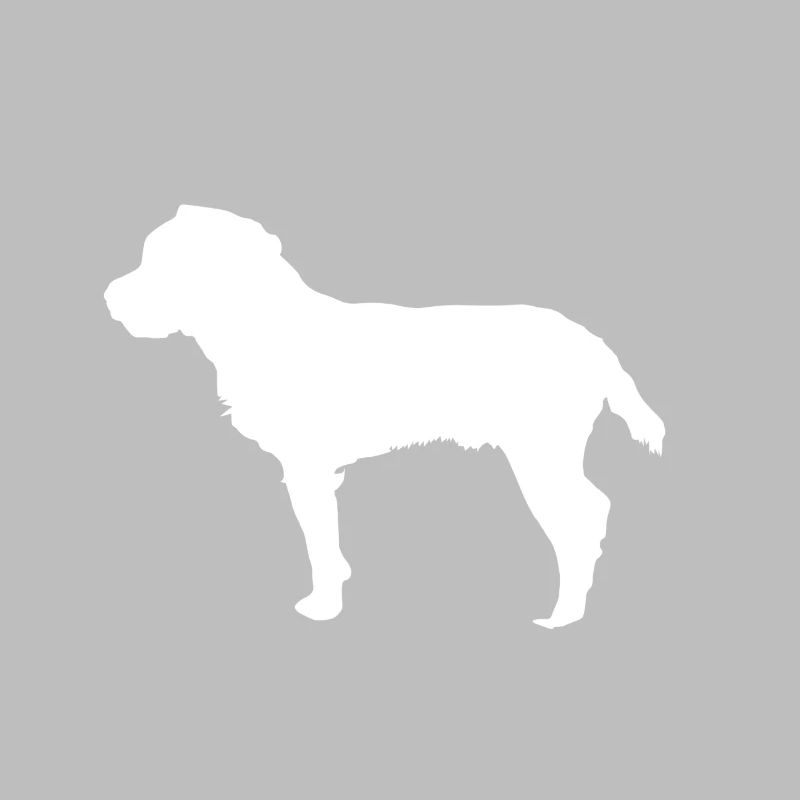 Jagdterrier - Deutscher Jagdterrier