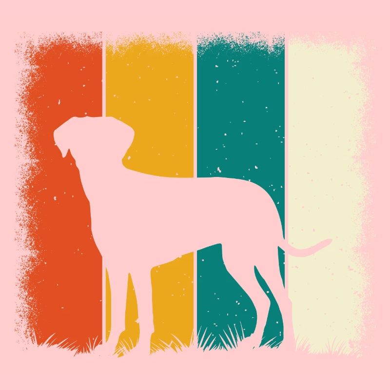 Labrador Rétro