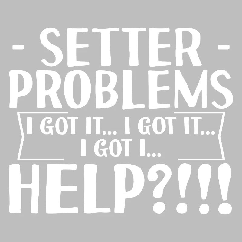 Setter Problems I Got It I Got It I Got It Help4