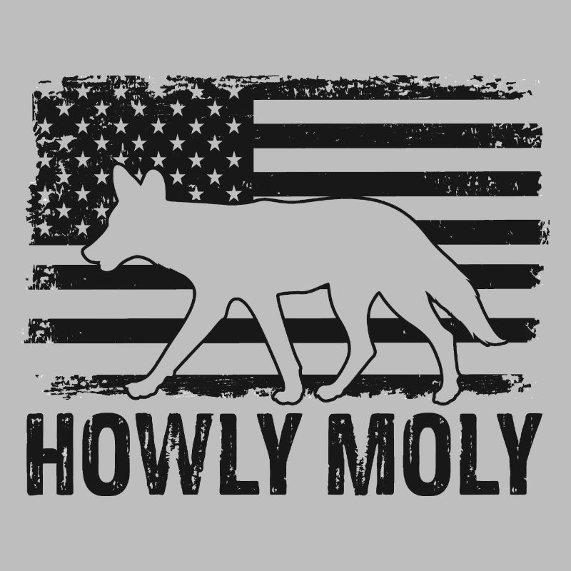 Conception de coyote pour les réacteurs de coyote