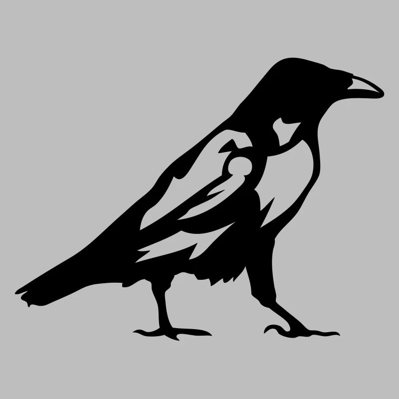 corbeau oiseaux 1