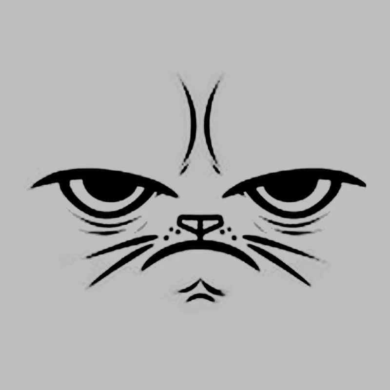 Crumpy Cat - Gift Gift Idea Face