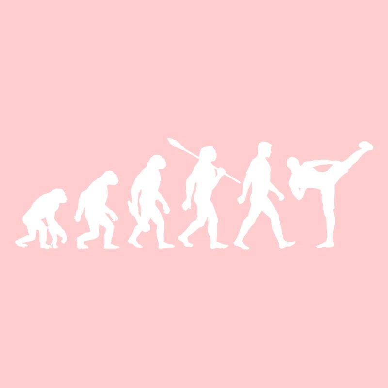 Evolution - MMA - Arts Martiaux