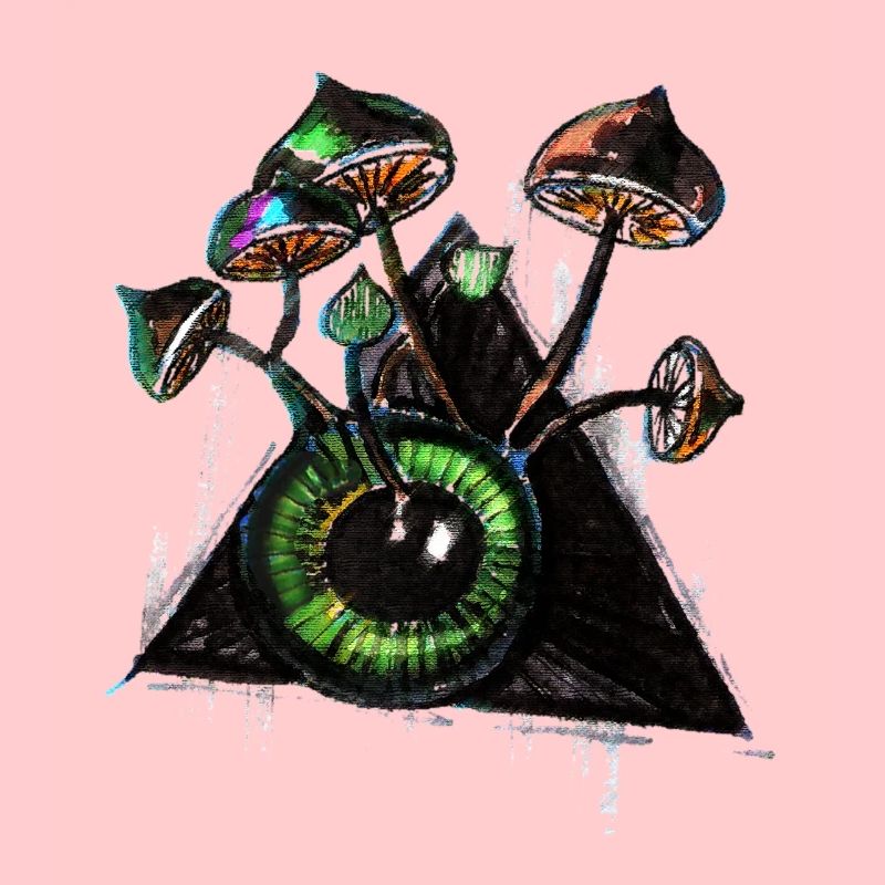 Ein besonderer Pilz und das allsehende, dritte Auge
