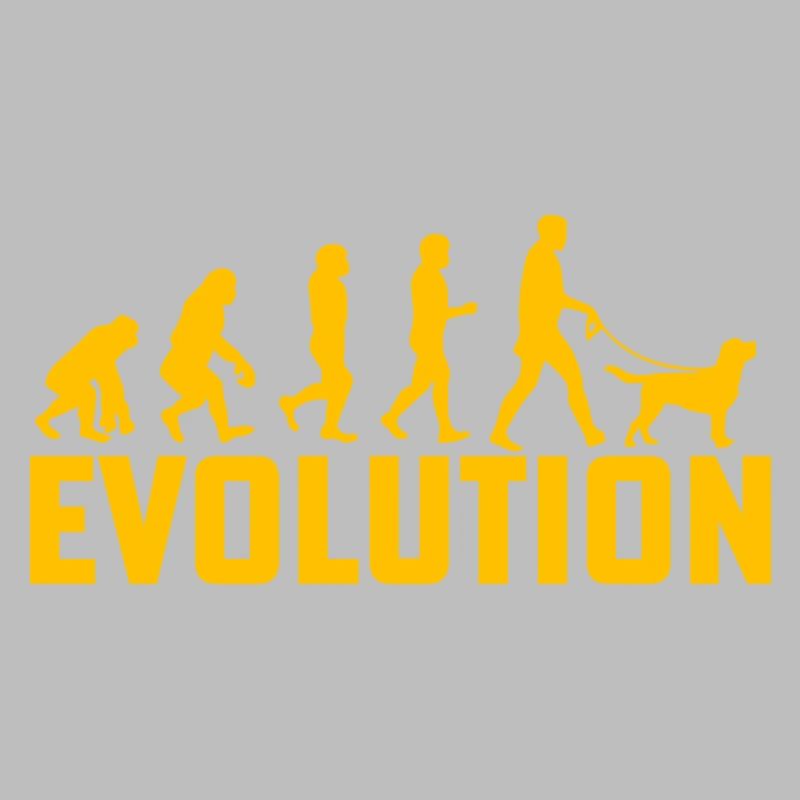 Labrador Evolution