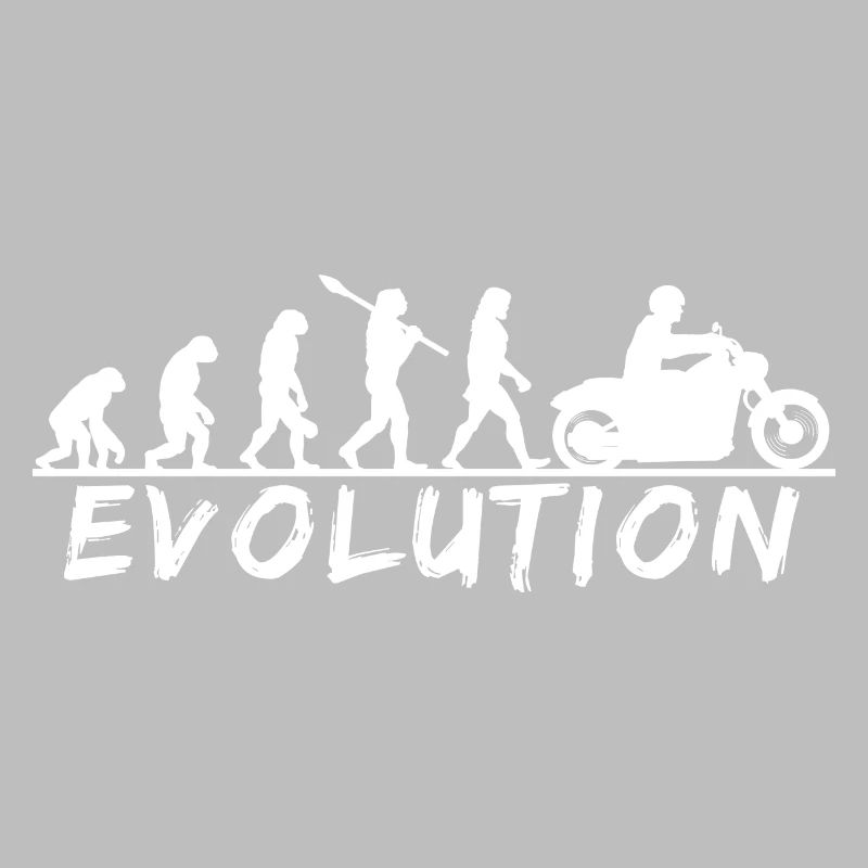 Évolution de l’équitation Découvrez votre parcours