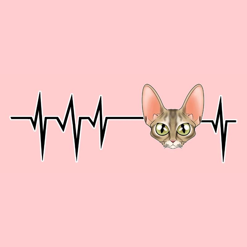 Cat Heartbeat I Devon Rex Cat