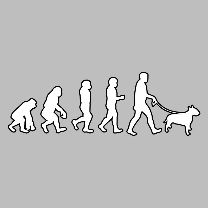 EVOLUTION Labrador
