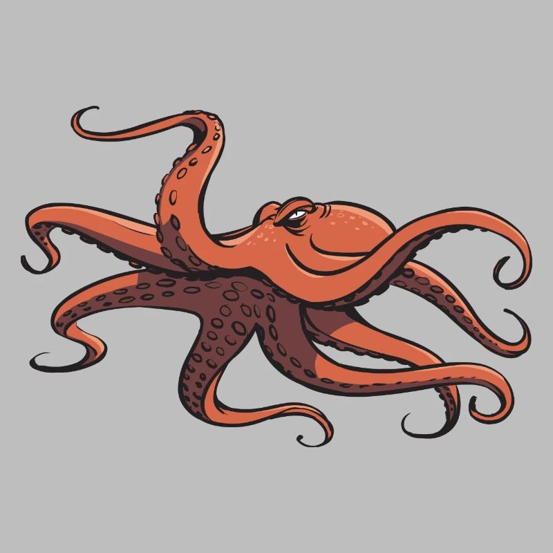 I like octopus - eight tentacles - squid