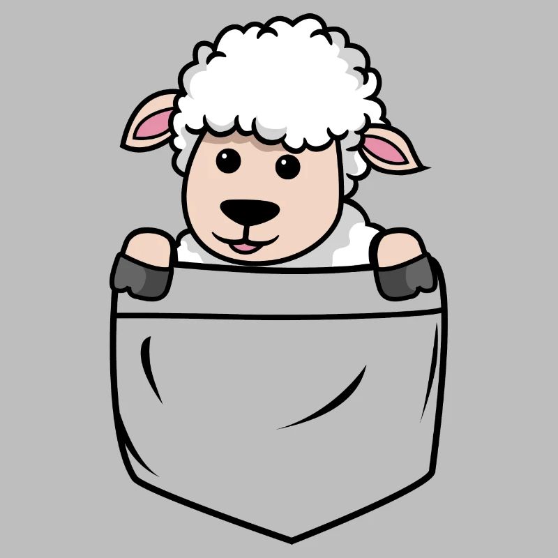 Young Shepherdess Shepherd Shepherdess Sheep