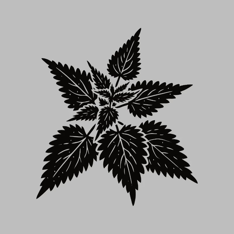 simple nettle design – wild & healing