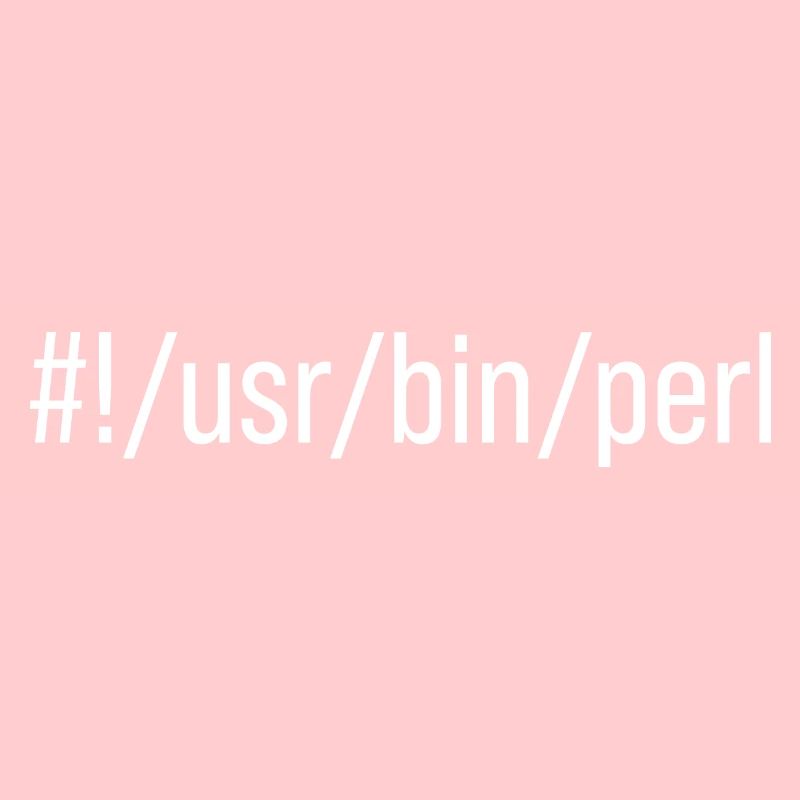 Usr Bin Perl Programmer Programing Languager Meme