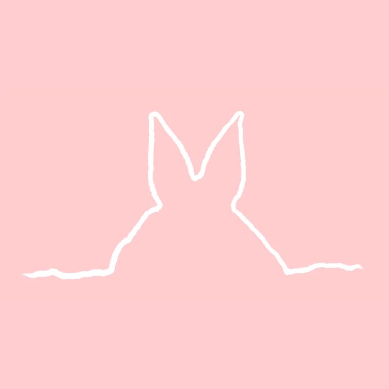 Rabbit bunny rabbit gift