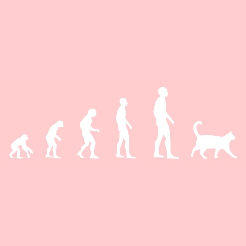 Chat - Evolution