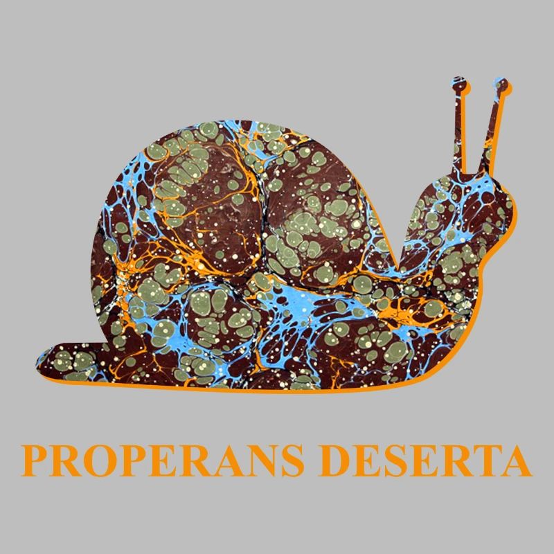 Dépêchez-vous avec le temps Escargot Latin E 85