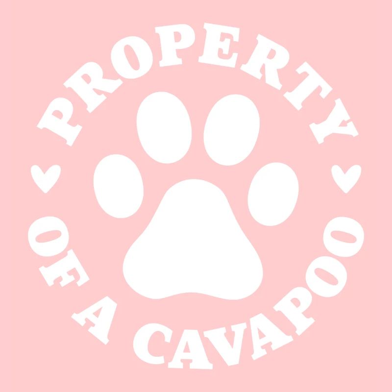 Propriété d’un Cavapoo