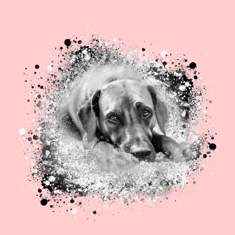 rhodesian ridgeback Hund,Hunderasse,graffiti