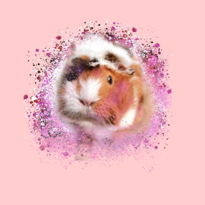 cochons d’Inde, graffitis, cochons d’Inde rosette