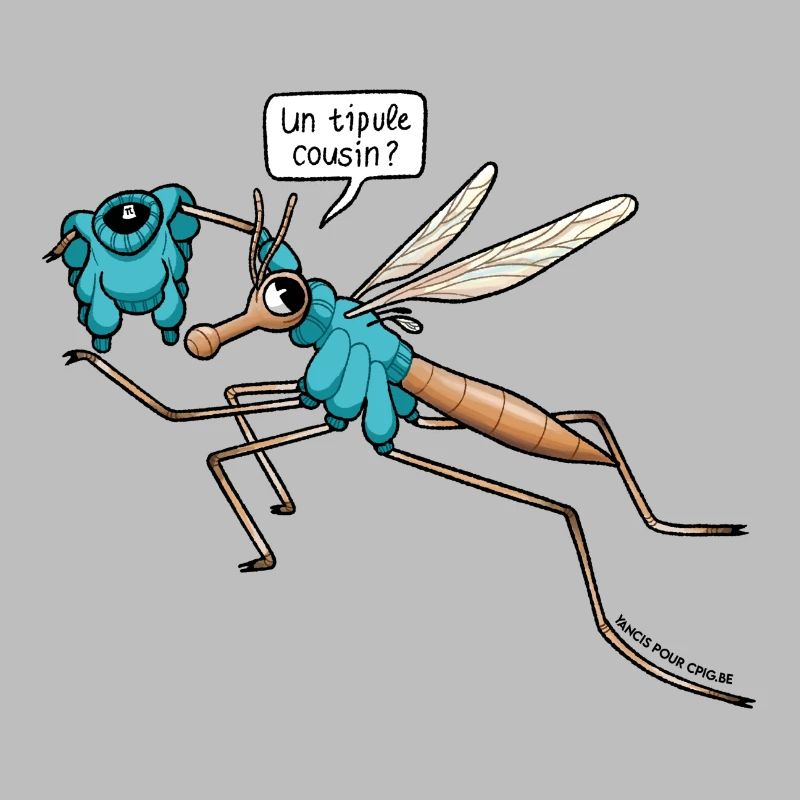 Un tipule cousin ?