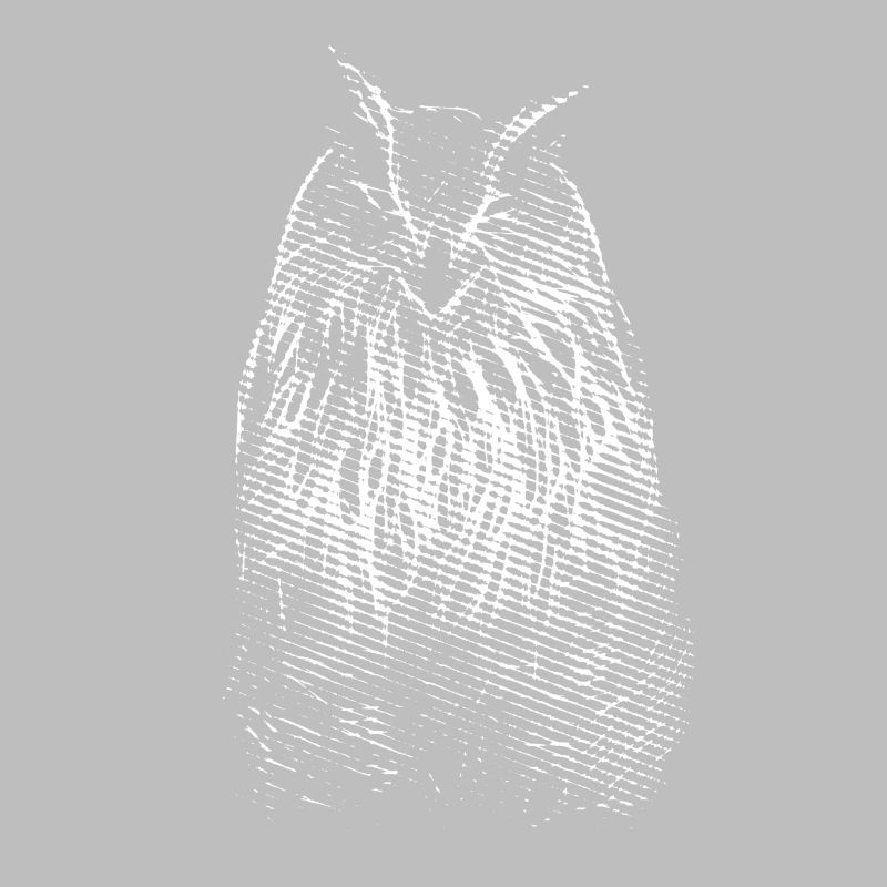 Das Lächeln von Herrn Owl. Eule, Eule
