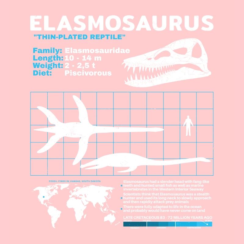 Fiche d’information sur Elasmosaurus