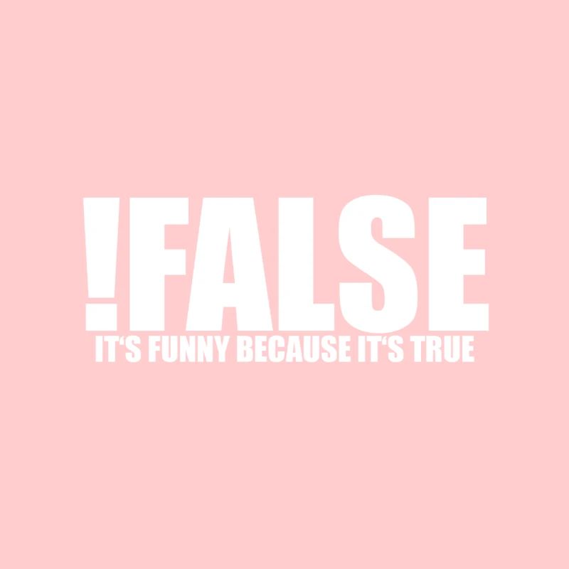 Computer Scientist Computer Science True False True Wrong