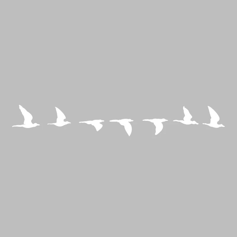 Bird flight path all white