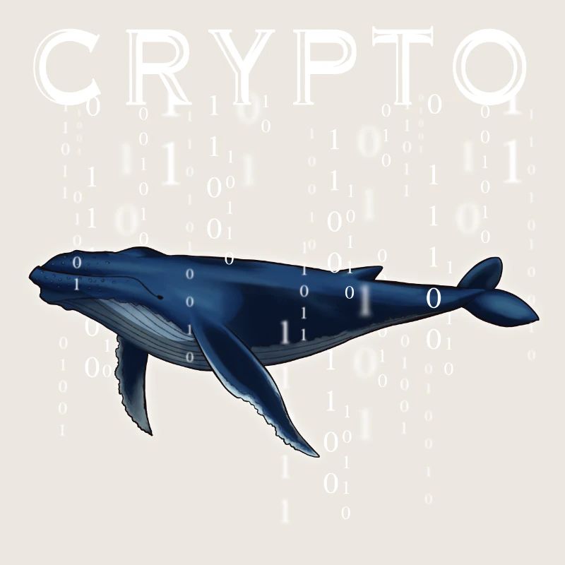 Crypto Wal Krypto Geschenk Idee