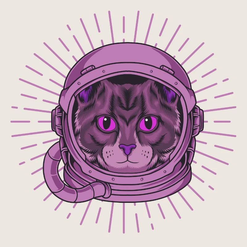 Chat de l’espace
