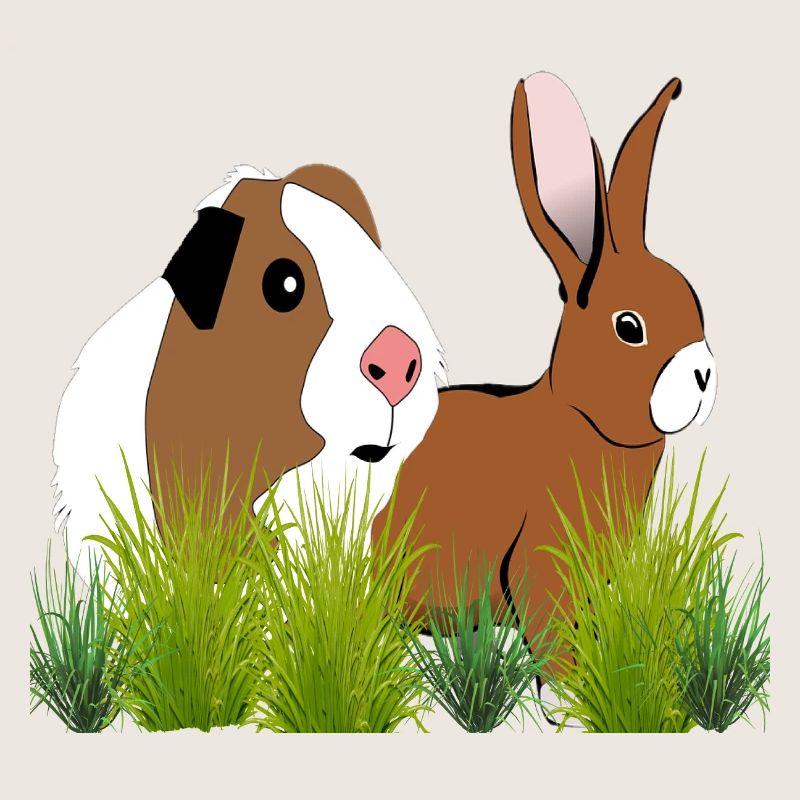 Cobaye lapin de conception