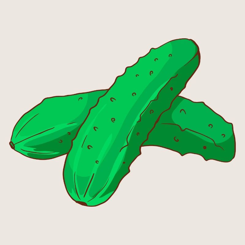 Cornichons cornichons concombres Cornichons concombres