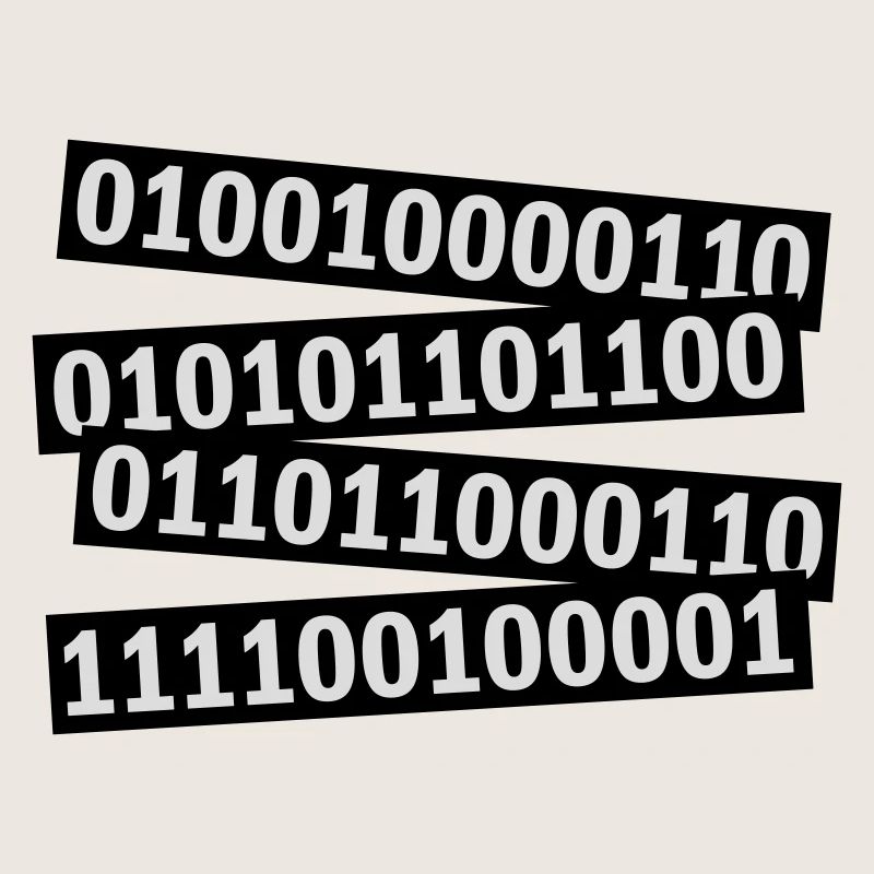 Binary Code Program Language