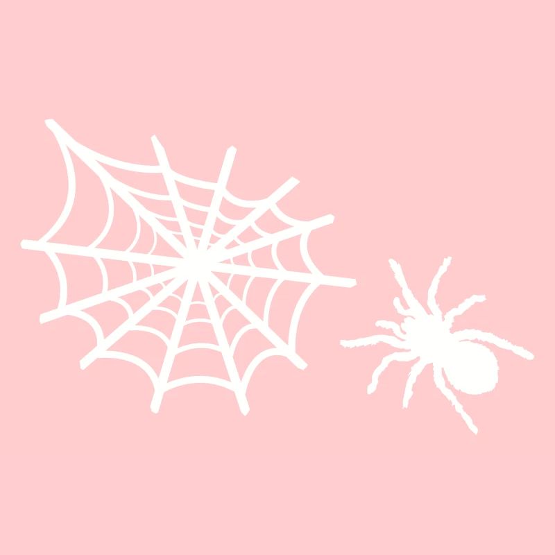 spider spider web