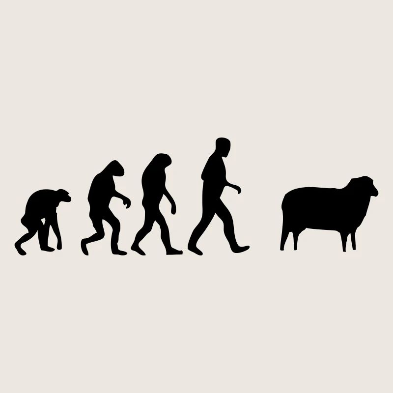 mouton evolution