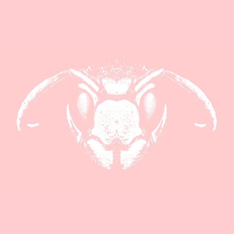 wasp / wasp