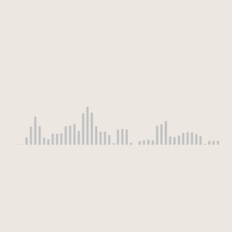 Visualizer