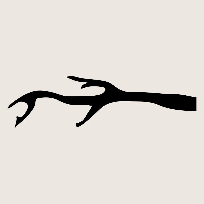 Branch