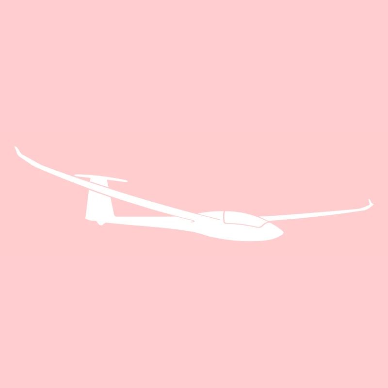 Ventus winglets glider glide glider pilot