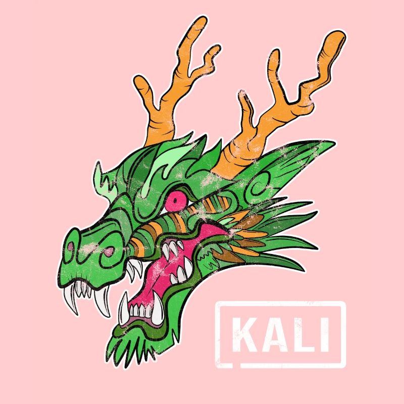 Kali Linux Computer Administrator Tux Drachen Kopf