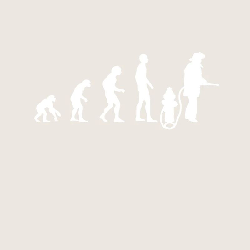 Evolution du service incendie