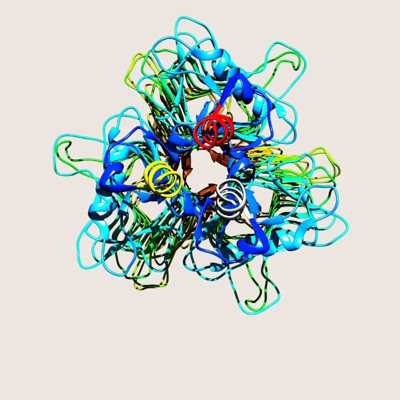 Native Tailspike Protein Molécule Bactériophage